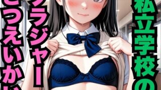 d 578848pl 320x180 - 私立学校のブラジャーさつえいかい（約300枚）【はなはな出版】