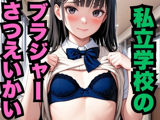 d 578848pl - 私立学校のブラジャーさつえいかい（約300枚）【はなはな出版】