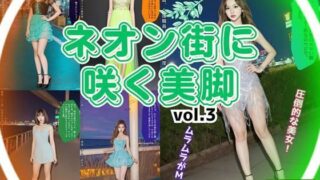 d 595354pl 320x180 - ネオン街に咲く美脚 vol.3【あらぶるま18＋】