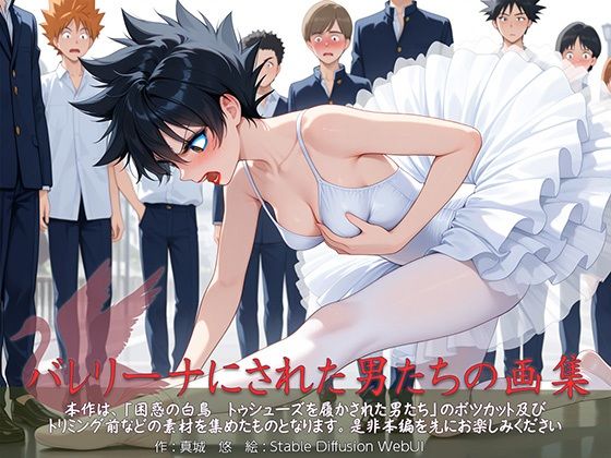 d 598917pl - バレリーナにされた男たちの画集【真城のソフトハウス】
