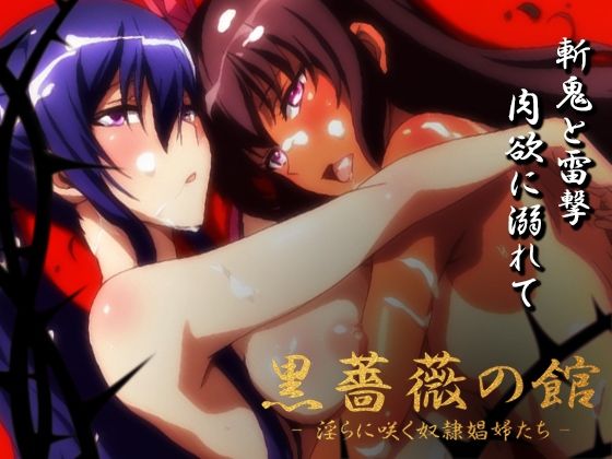 d 599839pl - 【対魔忍】黒薔薇の館 -淫らに咲く奴●娼婦たち- Vol.01 水城ゆ〇かぜ・秋〇凛子編【ヘルシンキ】
