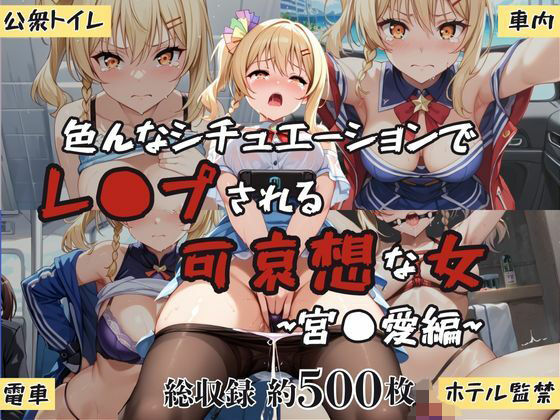 d 601202pl - 超絶不幸〜色んなシチュエーションでレ●プされる可哀想な女〜宮●愛編【HB鉛筆】