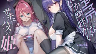 d 602632pl 320x180 - ゲームにしか興味がないサキュバスの姫【KU100】【Hello，Sound！！】