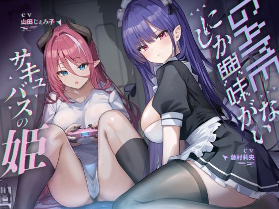d 602632pl - ゲームにしか興味がないサキュバスの姫【KU100】【Hello，Sound！！】
