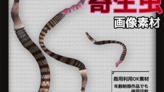 d 602956pl 320x180 - 寄生虫の画像素材〜商用OK著作権フリー〜3D画像素材シリーズ【商用利用OK素材】