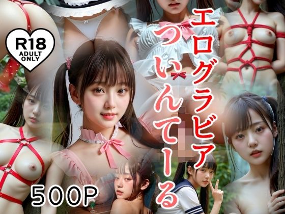 d 603217pl - 500P エログラビア ついんてーる【え〜あい出版】
