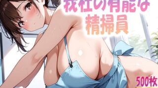 d 604205pl 320x180 - 我社の有能な精掃員【ルセット】