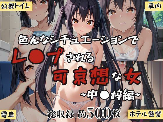 d 604444pl - 超絶不幸〜色んなシチュエーションでレ●プされる可哀想な女〜中●梓編【HB鉛筆】