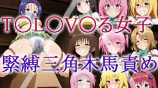 d 604606pl 320x180 - T〇L〇V〇る女子 緊縛三角木馬責め【牢人形の館】