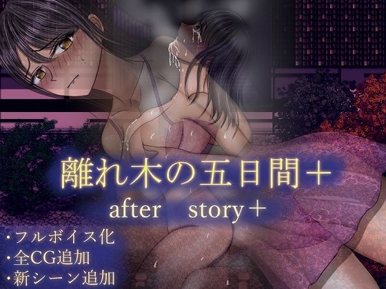 d 604786pl - 離れ木の5日間 after story＋【空上】