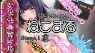 d 607019pl 320x180 - 『女体快楽実験場』 被験体No，004「ねこまる」Stage，1後編【OHOGOE】