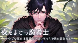 d 608528pl 320x180 - 夜をまとう魔導士 〜ウブな王女は魔導士の甘々えっちで処女喪失する〜【桜結び】