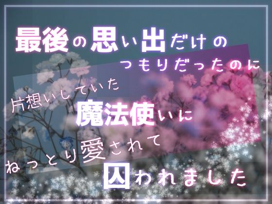 d 608566pl - 最後の思い出だけのつもりだったのに片想いしていた魔法使いにねっとり愛されて囚われました【桜結び】