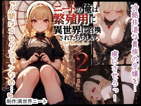 d 609131pl - ニートの俺は繁殖用に異世界に召喚されたらしい。〜The Harem End〜  2【異世界ニート】