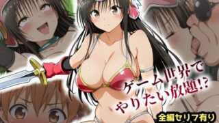 d 609133pl 320x180 - 古手川VRダンジョンへ出向命令！？試作RPGで犯●れる社外研修【ToLOVEる・とらぶる】【レトロンズ★カンパニー】