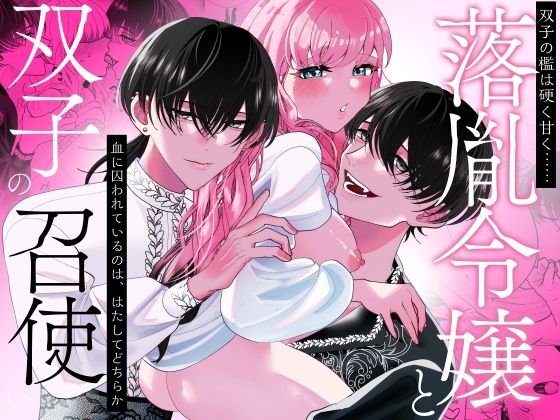 d 609979pl - 落胤令嬢と双子の召使い【Tn2】