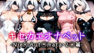 d 613902pl 320x180 - キセカエオナペット -NieR Aut◯mata・2◯篇-【愛玩ファクトリー】