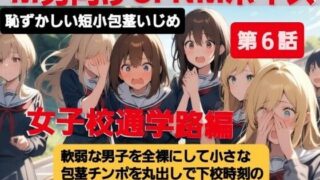 d 614027pl 320x180 - M男向けCFNMボイス  恥ずかしい短小包茎いじめ  女子校通学路編【第6話】軟弱な男子を全裸にして、小さな包茎チンポを丸出しで下校時刻の女子校の通学路を歩かせる虐め！【CFNM女学園】