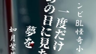 d 615858pl 320x180 - 一度だけあの日に見た夢を【如月紫苑】