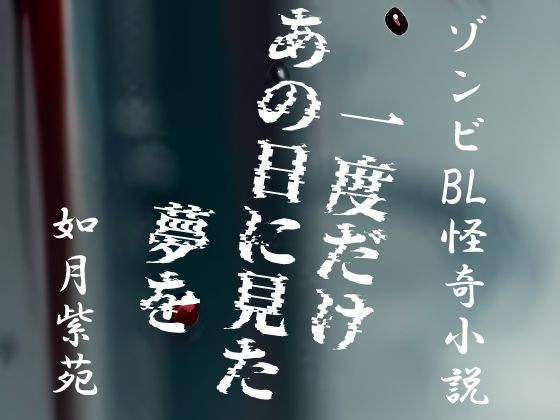 d 615858pl - 一度だけあの日に見た夢を【如月紫苑】