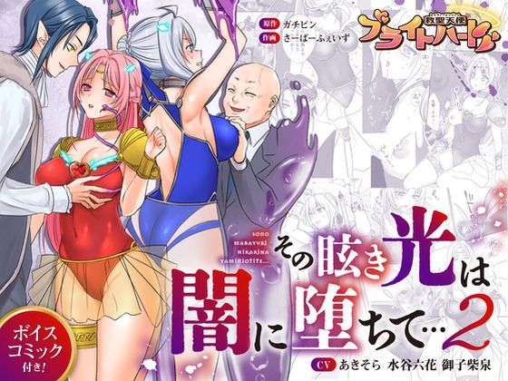 d 616176pl - 救聖天使ブライトハート  その眩き光は闇に堕ちて…2【G’sfactory】