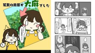 d 618806pl 320x180 - 自撮りしてSNSにのせたら写真の背景大麻だった話【ぴょこっとついんて】
