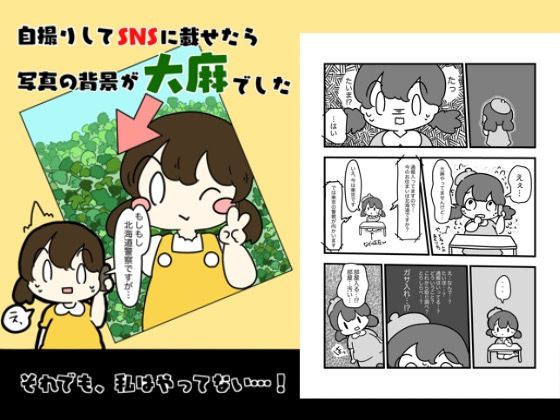 d 618806pl - 自撮りしてSNSにのせたら写真の背景大麻だった話【ぴょこっとついんて】