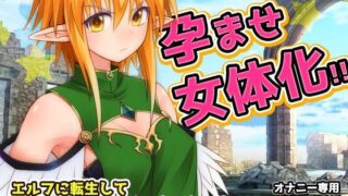 d 619079pl 320x180 - 【Android版】孕ませ女体化｜エルフに転生して化物オークに妊娠させられた、俺！〜オナニー用ミニゲーム【同人美少女ゲーム】