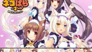 d 091451pl 320x180 - ネコぱら vol.2 姉妹ネコのシュクレ【NEKO WORKs】