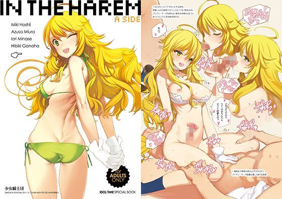 d 119486pl - in the Harem A-side【少女騎士団】