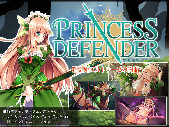 d 129815pl - プリンセスディフェンダー〜精霊姫エルトリーゼの物語〜【NineBirdHouse】