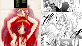 d 134660pl 320x180 - 詩織 1・2・3章 総集編（旧版）【HIGH RISK REVOLUTION】