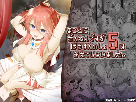 d 158092pl - まことに ざんねんですが ぼうけんのしょ5は消えてしまいました。【KAMINENDO.CORP】