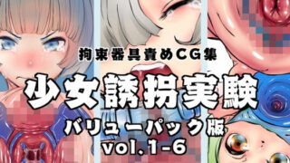 d 202252pl 320x180 - 【バリューパック版】少女誘拐実験vol.1〜6【セット販売】【灯工房】