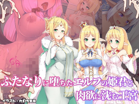 d 211552pl - ふたなりに堕ちたエルフの姫君と肉欲に沈む王宮【ドダメ屋さん】