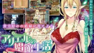 d 211588pl 320x180 - アリエルの娼館生活【赤窓工房】
