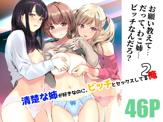 d 220348pl - 清楚な姉が好きなのに、ビッチとセックスしてる俺2【裏FMO】