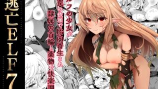 d 238486pl 320x180 - 逃亡ELF7【白金堂】