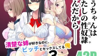 d 238821pl 320x180 - 清楚な姉が好きなのに、ビッチとセックスしてる俺3【裏FMO】