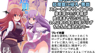 d 250666pl 320x180 - 東方透明人間5 侵入大図書館【背徳漢】