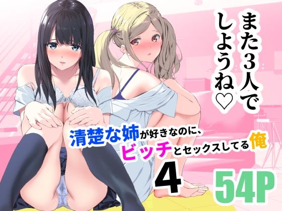 d 255016pl - 清楚な姉が好きなのに、ビッチとセックスしてる俺4【裏FMO】