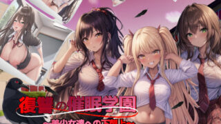 d 262317pl 320x180 - 復讐の催●学園〜美少女達への下剋上〜【日本語、中国語（簡体）対応】【スタジオVR】