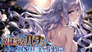 d 262342pl 320x180 - 奴●少女ルナと不思議な迷宮【日本語、中国語（簡体）対応】【スタジオVR】