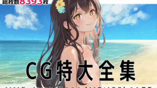 d 270023pl 320x180 - CG特大全集＋ゲーム3本【全22作品】【tomo】