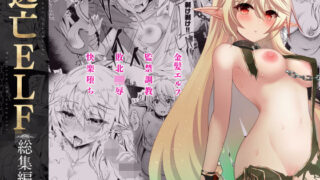 d 282720pl 320x180 - 逃亡ELF総集編II【白金堂】