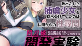 d 285214pl 320x180 - 閃刀姫開発実験【猫の耳】