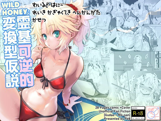 d 286720pl - WILD HONEY:霊基可逆的変換型仮説【Peθ】