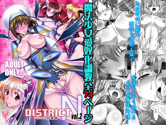 d 293135pl - DISTRICT N vol.2【BOBCATERS】