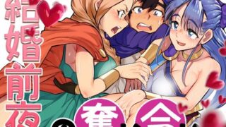 d 293159pl 320x180 - 結婚前夜の奪い合い【小平屋】