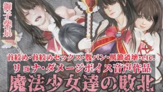 d 308836pl 320x180 - 魔法少女達の敗北//リョナボイス・コレクション/首絞め・首絞めセックス・腹パンetc.【岩石堂】